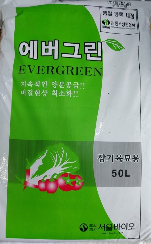 ǰ̹
